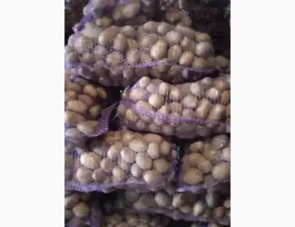 Продам картоплю мелоді