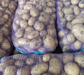 Продам товарну картоплю сорту Арізона