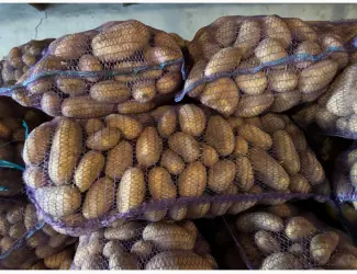 Продам картоплю опт Гренада