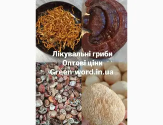 Зображення для оголошення Лікувальні гриби