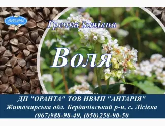 Насіння гречки Воля (БН