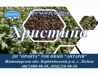 Насіння гречки Христина (БН