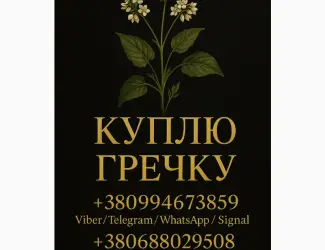 Зображення для оголошення Куплю гречіху ! Дорого