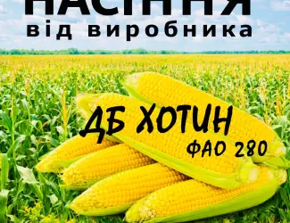 Насіння кукурудзи ДБ Хотин ФАО 280 / від виробника Agro_Exprt