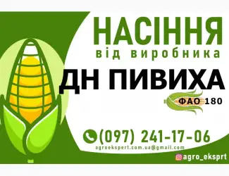 Гібрид кукурудзи ДН Пивиха (ФАО 180). Насіння від виробника