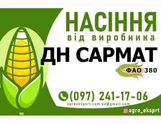 Гібрид кукурудзи ДН Сармат (ФАО 380). Насіння від виробника