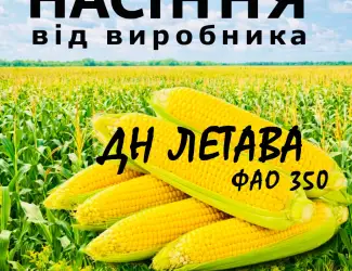Насіння кукурудзи ДН Летава ФАО 350 / від виробника Agro_Exprt