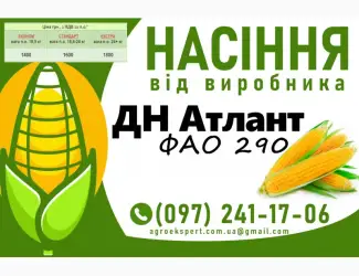 Високоякісне насіння кукурудзи від виробника N1 у Харківській області