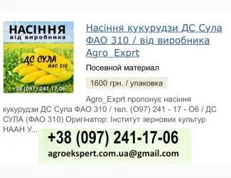 ДС Сула (ФАО 310)