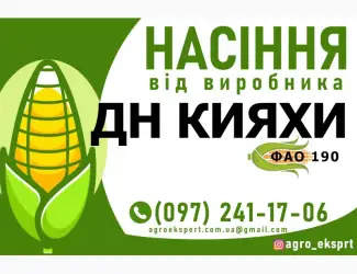 Гібрид кукурудзи ДН Кияхи (ФАО 190). Насіння від виробника