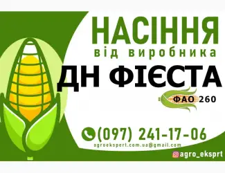Гібрид кукурудзи ДН Фієста ( ФАО 260). Насіння від виробника
