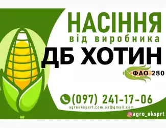 Зображення для оголошення Гібрид кукурудзи ДБ Хотин (ФАО 280). Насіння від виробника