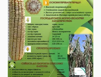 ДН Сармат ФАО 380