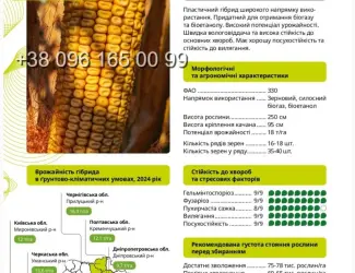 Насіння кукурудзи РОНІН ФАО 330