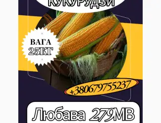 Насіння кормової Кукурудзи Любава 279МВ ( 25 кг)