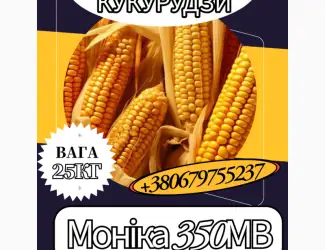 Насіння кормової Кукурудзи Моніка 350МВ ( 25 кг)