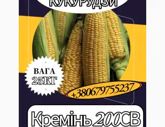 Насіння кормової Кукурудзи Кремінь 200СВ ( 25 кг)