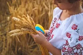 Зображення для оголошення Агрокомпанія закупає Пшеницю фуражну