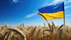Зображення для оголошення Закупка Пшениця 2