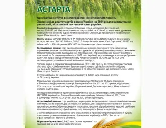 Зображення для оголошення Сорт Астарта (еліта) - Насіння озимої пшениці від виробника 2025
