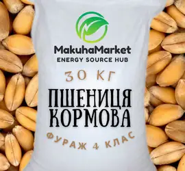 Зображення для оголошення Пшениця кормова (Фураж 4) 30кг