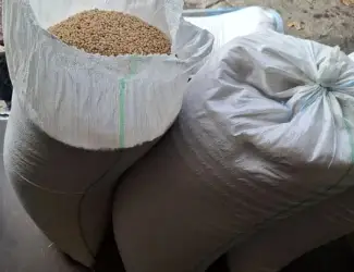 Зображення для оголошення Продам горох на корм