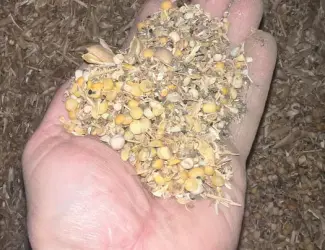 Продам відходи гороху
