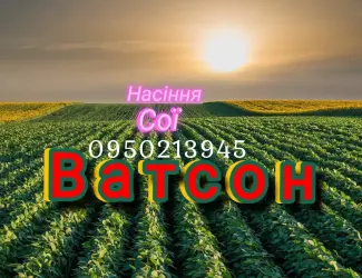 Зображення для оголошення Насіння сої під раундап