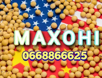 Зображення для оголошення Насіння сої Махоні