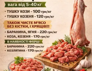 Барани, баранина, ягнятина, козлятина ,тушки