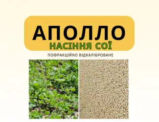 Насіння сої Аполло під Раундап