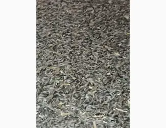 Продам соняшник