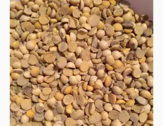 Купуємо сою (половинки)