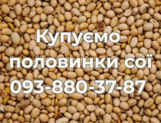 Закупівля половинок сої. Самовивіз