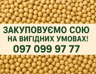 Зображення для оголошення Закупівля сої на постійній основі з самовивозом