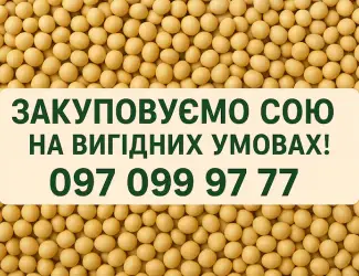 Зображення для оголошення Закуповуємо сою на вигідних умовах