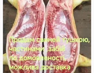 Зображення для оголошення Продам домашню свиннину