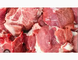 Продам мясо свинини