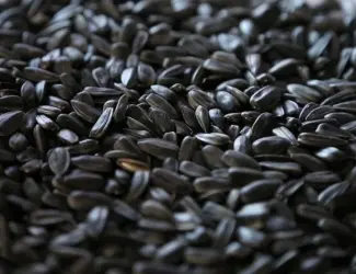 Зображення для оголошення Продам соняшник 100 т