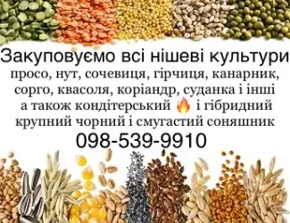 Купуємо кондитерський соняшник а також КРУПНОГО розміру гібридний смугастий та чорний