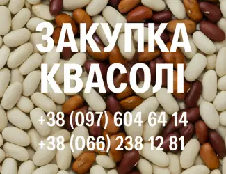 Зображення для оголошення Купуємо квасолю різних сортів