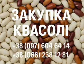 Купуємо квасолю для потреб підприємства