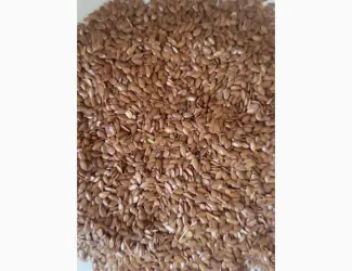 Зображення для оголошення ЛЬОН (Flaxseed)
