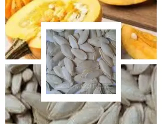 Зображення для оголошення Продам насіння гарбуза
