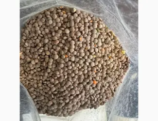Продам сочевицю червону 28т