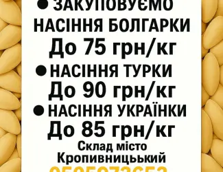 Закупівля насіння гарбуза