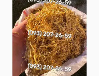 Зображення для оголошення Ксанті