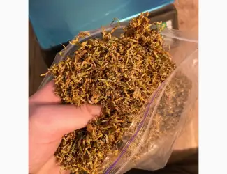 Зображення для оголошення М’який