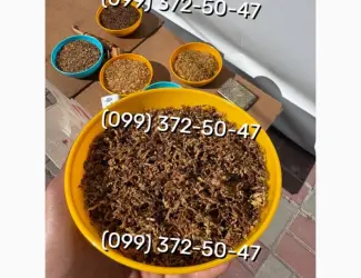 Зображення для оголошення Якісний