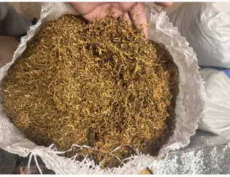 Зображення для оголошення Продам тютюн Вірджинія / Берлі - м’який